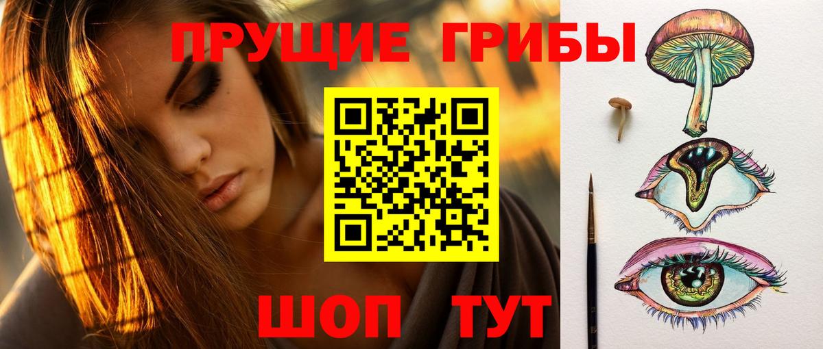 Галлюциногенные грибы Psilocybe  Вход с VPN  Псилоцибиновые грибы прущие грибы  Воркута 